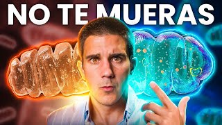 ¡SUPER MITOCONDRIAS⚡La RECETA para SER VIEJOVEN [upl. by Epuladaugairam]