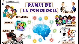 Ramas De La Psicología  Resumen  Vídeos Educativos [upl. by Arracot]