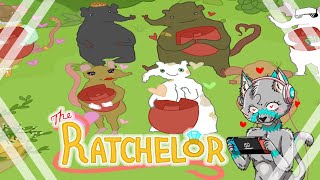 The Ratchelor A rat dating sim  Oh my little cat heart [upl. by Aiekam516]