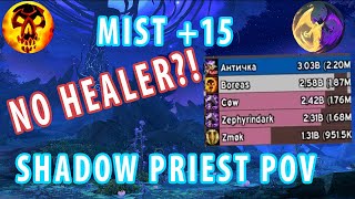 Mist of Tirna Scithe No Healer 15  Shadow priest pov [upl. by Celene]