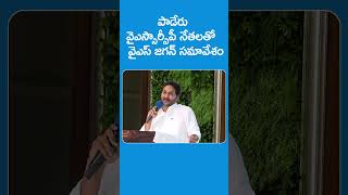 పాడేరు వైఎస్సార్సీపీ నేతలతో వైఎస్ జగన్ సమావేశం ysjagan apmlcelections sakshitvlive [upl. by Adlay]