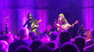 THE FUZZTONES  Strychnine 4K ULTRA HD Live 17324 [upl. by Anagnos]