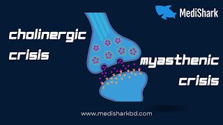 Mastering Pharmacology Cholinergic Crisis and Myasthenic Crisis Dr Murtoza Shahriar [upl. by Amil]