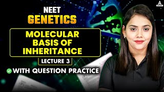 Genetics  Molecular Basis of Inheritance class 12  L 3  Complete Genetics Revision for NEET 2025 [upl. by Latashia]