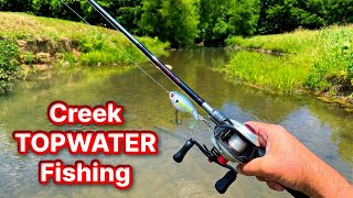 Topwater Creek Fishing Compilation [upl. by Etnomed]