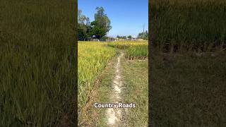 Country Road Take Me Home  megapixelview megapixelview village villagelife travelvideo [upl. by Ordep]