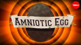 The gamechanging amniotic egg  April Tucker [upl. by Esiuqcaj]