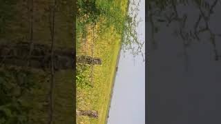 Agriculture Land For Sale in Khammam District Telangana [upl. by Abbot828]