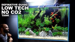 Definitive Guide Low Tech Low Budget No CO2 Detailed Aquascape Tutorial w Albino Cherry Barbs [upl. by Idolem]