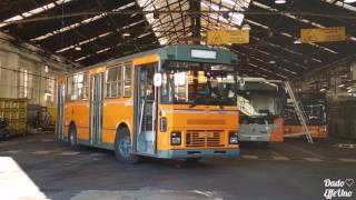 Fiat 418 AC Cameri 3123 Amt Genova [upl. by Ynos]