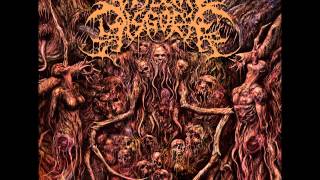 Visceral Disgorge  Ingesting Putridity 2011 Full Length Album [upl. by Gati]