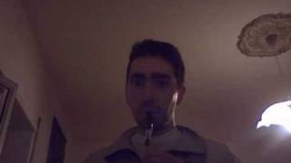 Silent Hill  Tin Whistle [upl. by Palocz]