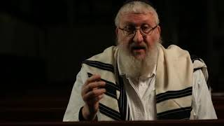 Anim Zemiros  Chaim fogelman music video [upl. by Shantha219]