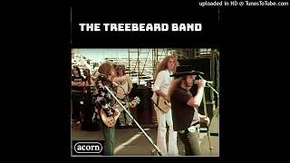 The Treebeard Band  A Second Chance 1982 [upl. by Nylecoj]