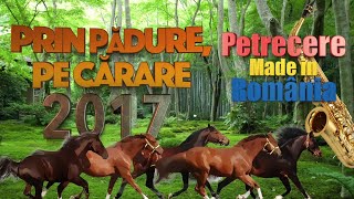 Prin Padure Pe Carare Colaj Muzica de Petrecere 2017 [upl. by Akihsar]