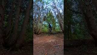 Running away like growler40 mtb forest narnia jumps [upl. by Medorra]