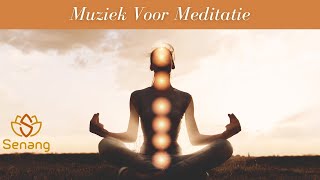 Meditatie Muziek YouTube  8 uur rustgevende muziek [upl. by Priestley109]