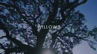 Vanessa Carlton  Willows Lyric Video [upl. by Ellennoj]