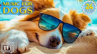 24 Hours of Anti Anxiety Music amp Dog Sleep Music for Dogs Calming Stress Relief with Dog Music [upl. by Acessej761]