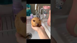 With this I can take 800 showers a daycapybara bathball cute gift funny cartoon kawaiipark [upl. by Atiuqes]