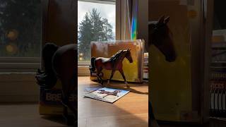 Unboxing 1999 Missouri Fox Trotter Breyer Horse [upl. by Harrak]