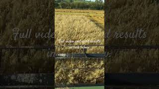 Ploughing vs Minimum tillage vs Direct drilling [upl. by Rafi580]