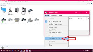 How to Fix Printer Offline Issues In Windows PC Windows 10817 [upl. by Kilian297]