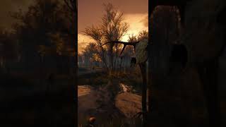 Caught in the moment   WITCHER 3 CROOKBACK BOG SWAMP TIMELAPSE [upl. by Agretha]