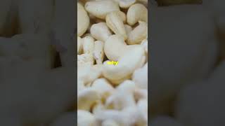 Where Do Cashews Come From The Surprising Truth youtubeshorts facts cashews cashew [upl. by Parks]