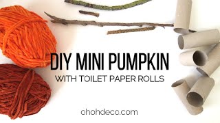 Toilet Paper Roll Pumpkins [upl. by Haidej]