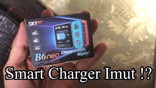 SkyRC Smart Charger [upl. by Ylrahc851]