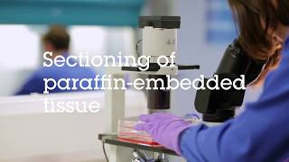 Sectioning of paraffin embedded tissue video protocol [upl. by Doro]