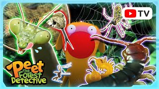 Creepy Crawlies Spiders Insects and More  Peet The Forest Detective [upl. by Sybila]