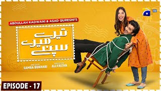 Tere Mere Sapnay Episode 17  Eng Sub  Shahzad Sheikh  Sabeena Farooq  26th March 2024 [upl. by Ytsirhk]