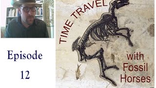 Episode 12 Time Traveling with Fossil Horses [upl. by Lavicrep]