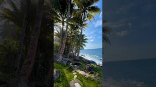 best beach viewbeautiful sea view 🌴🌴🌴 youtubeshort shorts beach seeview beautiful trending [upl. by Irpak711]