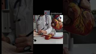 Ye kya baat hai aaj ki chandni mein mbbs 🩺 aiims neet ytshorts shorts viralvideo motivation [upl. by Nylime944]