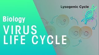 Virus Life Cycle  Health  Biology  FuseSchool [upl. by Ococ738]