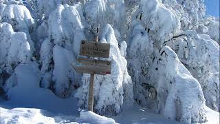 Monte Falco e Falterona 11 febbraio 2018 [upl. by Carrelli]