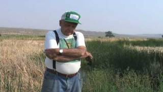 Phil Pister Rescuing the Owens Pupfish at Fish Slough Fish in a Bucket Story [upl. by Adnanref212]