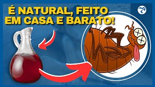 Anti Pulgas e Carrapato Com Apenas UM INGREDIENTE E SUPER BARATO ACABE Com as Pulgas do seu Pet [upl. by Arrehs]