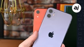 Camera Quality Comparison iPhone 11 VS iPhone XR [upl. by Gauntlett]