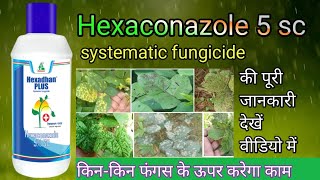 Hexaconazole 5 sc fungicide कामकीमत और डोज देखें वीडियो में पूरी जानकारी [upl. by Ihcur76]