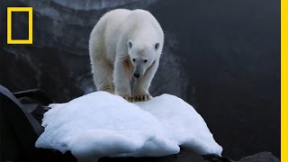 Climate Change Impacts All of Us But Theres Hope  National Geographic [upl. by Eoj389]