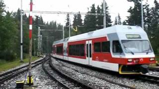 Die Schmalspurbahn in der Hohen Tatra  TEŽ 06082009 [upl. by Peltz905]