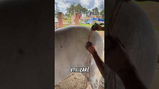 Esta vez DIBUJAREMOS en CABALLOS 🐎💈✍️ [upl. by Yerroc120]