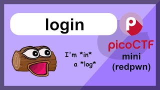 picoMini by redpwn  Web App  login [upl. by Dnaltroc]