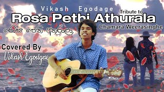 Rosa Pethi Athurala  රෝස පෙති අතුරාලා  Covered by Vikash Ranrishi Egodage  Chamara Weerasinghe [upl. by Jerrylee]