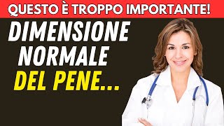 La Guida Completa per Misurare Correttamente la Lunghezza e la Larghezza del P3NE [upl. by Sherlock]