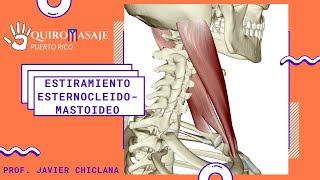 Estiramiento Esternocleidomastoideo [upl. by Janette]